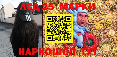 гидропоника Будённовск