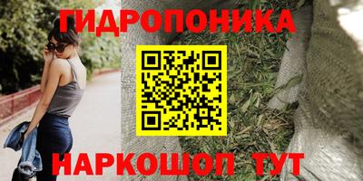 гидропоника Будённовск