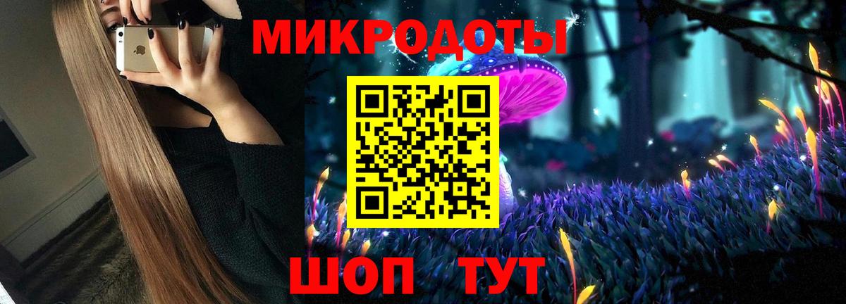 Псилоцибиновые грибы Psilocybine cubensis Светлоград