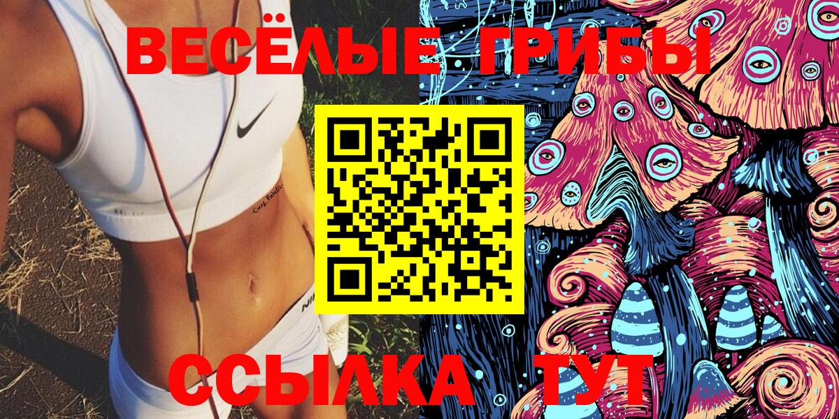 Галлюциногенные грибы Cubensis  Вход с VPN  Светлоград  где купить наркоту  Галлюциногенные грибы прущие грибы 